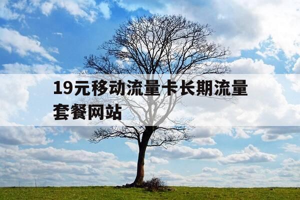 19元移动流量卡长期流量套餐网站-19元移动流量卡长期流量套餐网站有哪些-第1张图片-优惠活动网