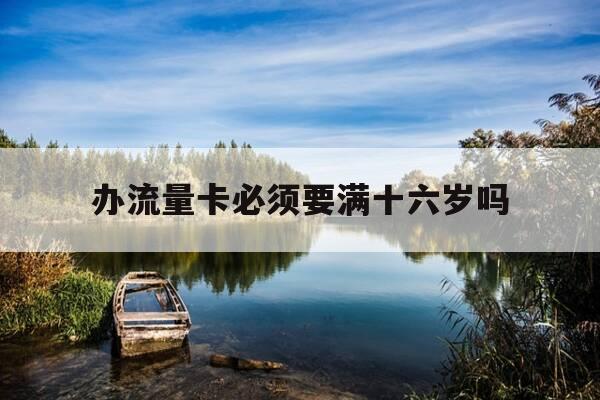 办流量卡必须要满十六岁吗-办纯流量卡要多少岁-第1张图片-优惠活动网