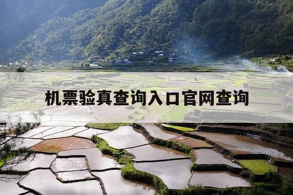 机票验真查询入口官网查询-机票验证真伪-第1张图片-优惠活动网