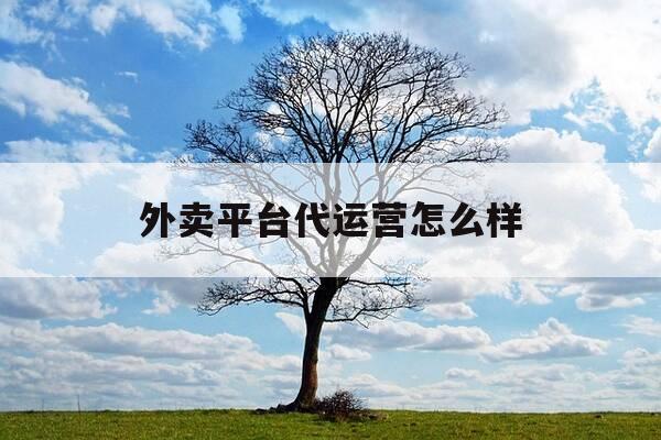 外卖平台代运营怎么样-外卖平台代运营怎么样赚钱-第1张图片-优惠活动网