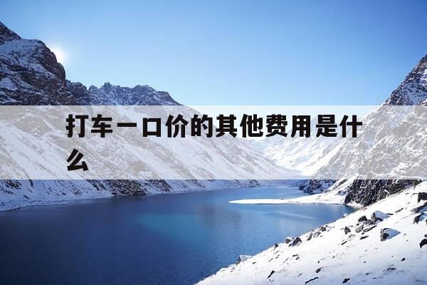 打车一口价的其他费用是什么-打车一口价可以坐几个人-第1张图片-优惠活动网