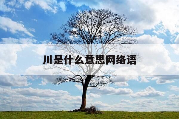 川是什么意思网络语-川是什么意思网络语怎么说-第1张图片-优惠活动网