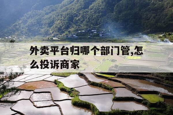 外卖平台归哪个部门管,怎么投诉商家-外卖平台监管投诉电话-第1张图片-优惠活动网