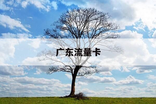 广东流量卡-广东流量卡最建议买哪个卡-第1张图片-优惠活动网 广东流量卡-广东流量卡最建议买哪个卡-第1张图片-优惠活动网