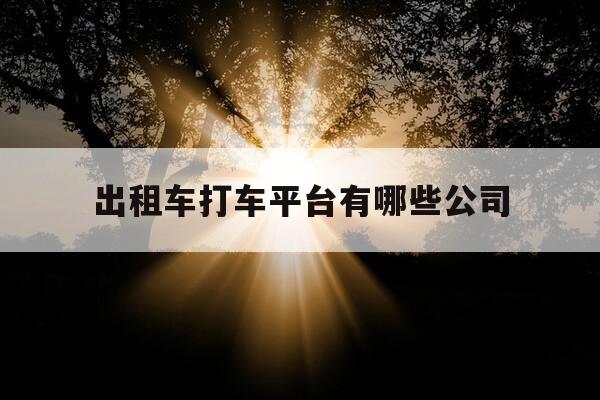 出租车打车平台有哪些公司-出租车接单平台有几个-第1张图片-优惠活动网