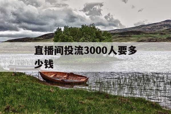 直播间投流3000人要多少钱-500人直播间流量多少钱-第1张图片-优惠活动网