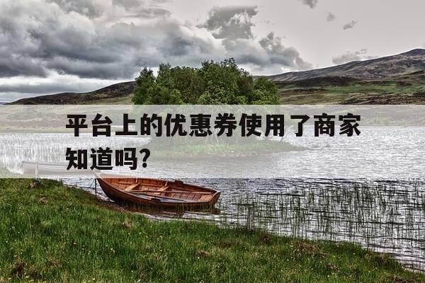 平台上的优惠券使用了商家知道吗?-用优惠券商家还是会收到钱吗-第1张图片-优惠活动网