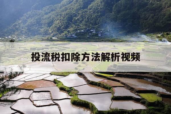投流税扣除方法解析视频-投流方案-第1张图片-优惠活动网