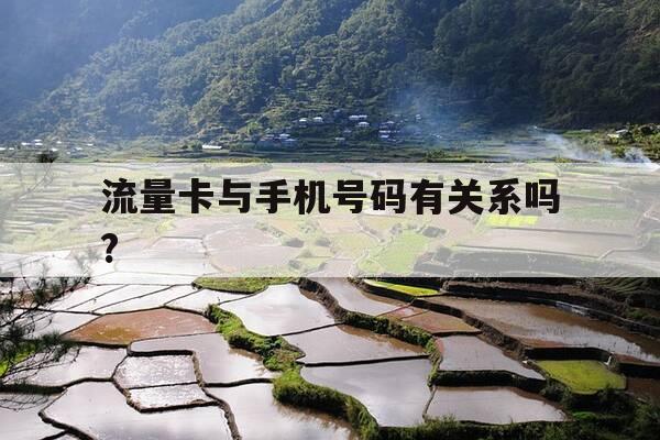 流量卡与手机号码有关系吗?-流量卡手机卡区别-第1张图片-优惠活动网