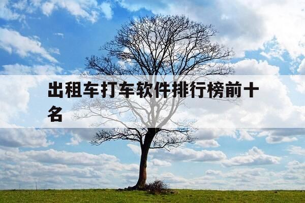 出租车打车软件排行榜前十名-出租车专用打车软件-第1张图片-优惠活动网