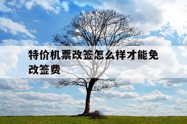 特价机票改签怎么样才能免改签费-特价机票改签需要手续费吗?-第1张图片-优惠活动网