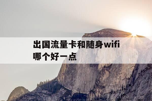 出国流量卡和随身wifi哪个好一点-出国流量卡和随身wifi哪个好一点呢-第1张图片-优惠活动网