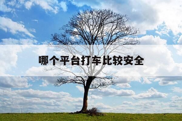 哪个平台打车比较安全-目前哪个平台打车最划算-第1张图片-优惠活动网