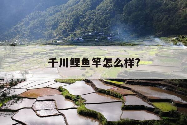 千川鲤鱼竿怎么样?-千川鲤鱼竿官方网-第1张图片-优惠活动网