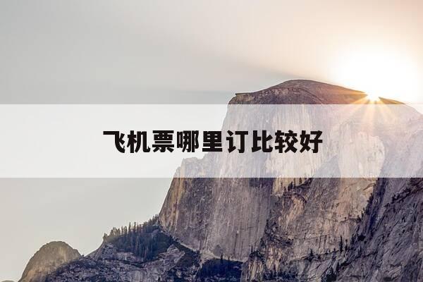 飞机票哪里订比较好-飞机票哪里订合适-第1张图片-优惠活动网