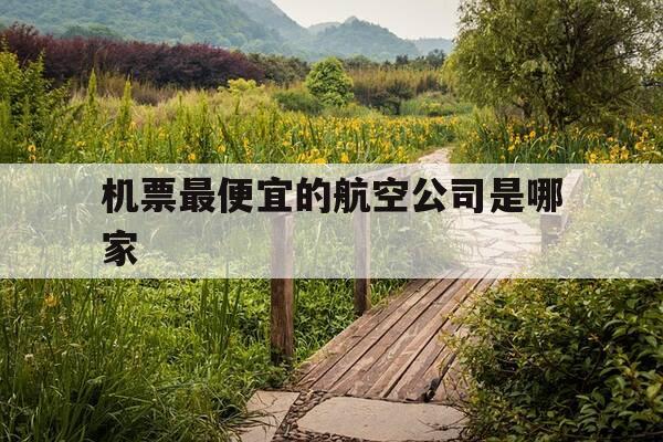 机票最便宜的航空公司是哪家-机票最便宜的航班-第1张图片-优惠活动网