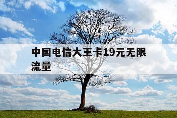 中国电信大王卡19元无限流量-纯流量卡在哪才能买上正规的-第1张图片-优惠活动网