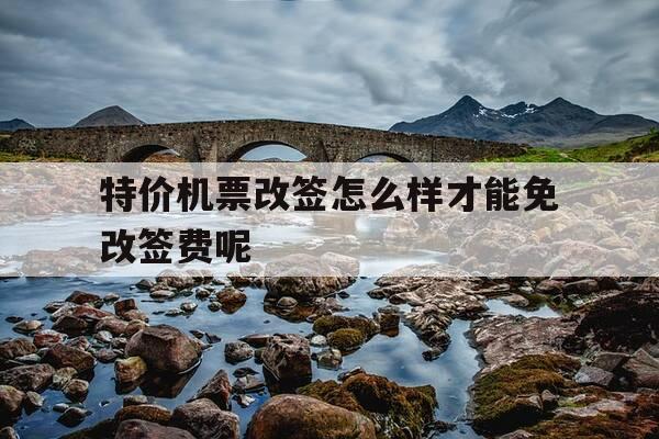 特价机票改签怎么样才能免改签费呢-特价机票怎么改签划算?-第1张图片-优惠活动网