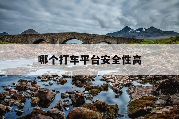 哪个打车平台安全性高-哪个打车软件安全可靠-第1张图片-优惠活动网 哪个打车平台安全性高-哪个打车软件安全可靠-第1张图片-优惠活动网