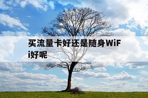 买流量卡好还是随身WiFi好呢-随身无线网和流量卡那个好-第1张图片-优惠活动网 买流量卡好还是随身WiFi好呢-随身无线网和流量卡那个好-第1张图片-优惠活动网