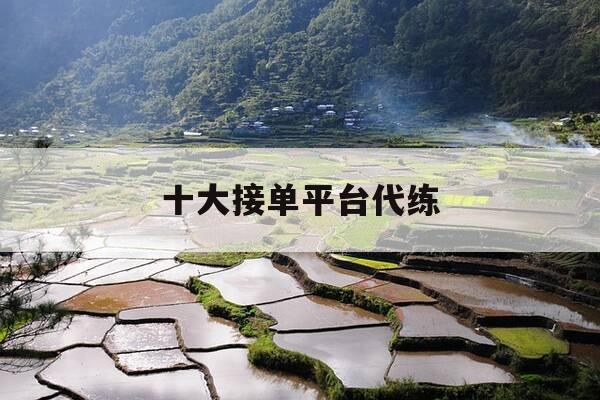 十大接单平台代练-有什么代练接单平台价格较高-第1张图片-优惠活动网