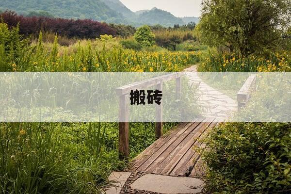 搬砖-搬砖游戏-第1张图片-优惠活动网 搬砖-搬砖游戏-第1张图片-优惠活动网