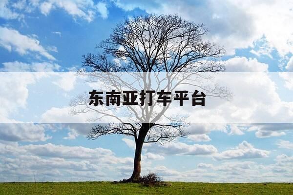 东南亚打车平台-东南亚打车软件grab下载-第1张图片-优惠活动网