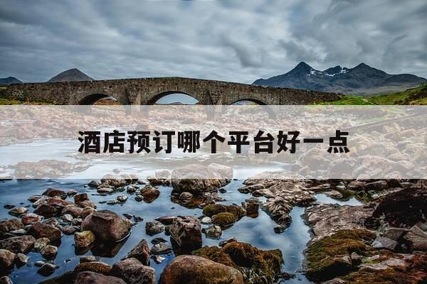 酒店预订哪个平台好一点-酒店预订哪个网好-第1张图片-优惠活动网