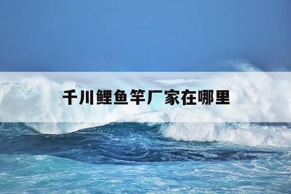 千川鲤鱼竿厂家在哪里-千川鲤鱼竿价格是多少钱一个-第1张图片-优惠活动网