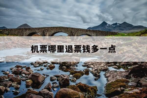 机票哪里退票钱多一点-退机票哪里不收费-第1张图片-优惠活动网