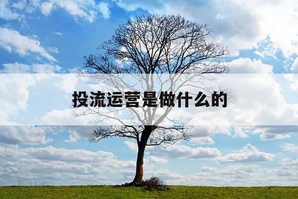 投流运营是做什么的-投流的全称-第1张图片-优惠活动网