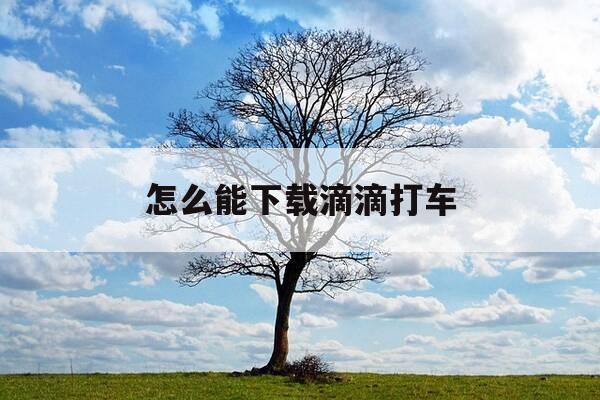 怎么能下载滴滴打车-怎么能下载滴滴打车app-第1张图片-优惠活动网