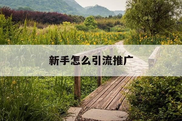 新手怎么引流推广-抖音花100元推广有效果吗-第1张图片-优惠活动网