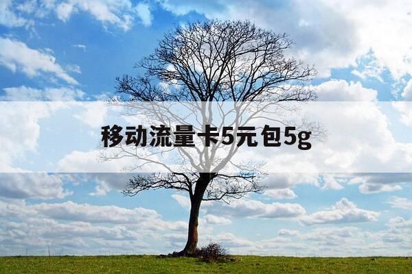 移动流量卡5元包5g-手机流量卡5元5g 移动-第1张图片-优惠活动网