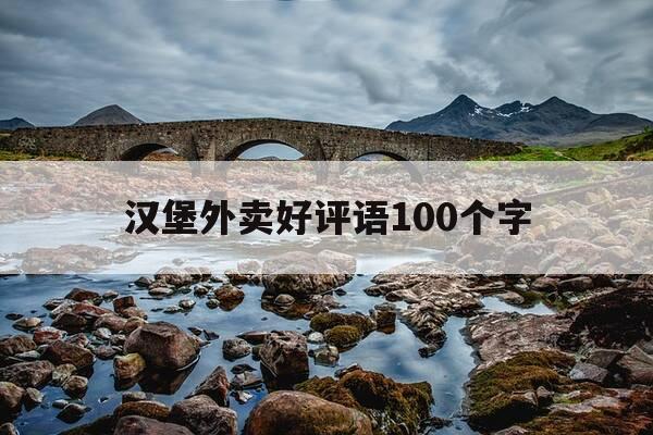 汉堡外卖好评语100个字-汉堡外卖评价语30字-第1张图片-优惠活动网