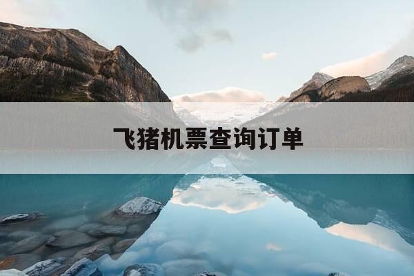 飞猪机票查询订单-飞猪机票如何查询-第1张图片-优惠活动网