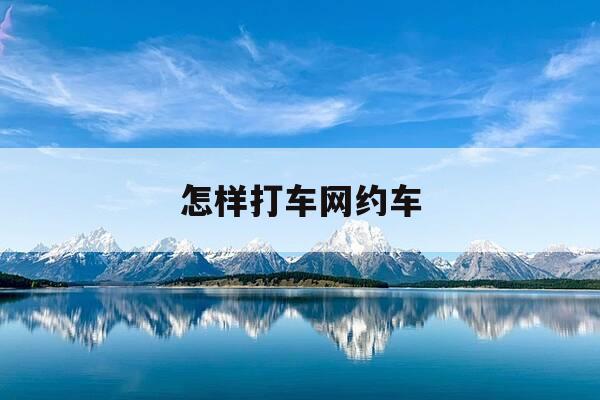 怎样打车网约车-网约车怎么打车便宜-第1张图片-优惠活动网