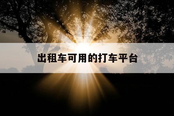 出租车可用的打车平台-出租车打车平台有哪些-第1张图片-优惠活动网