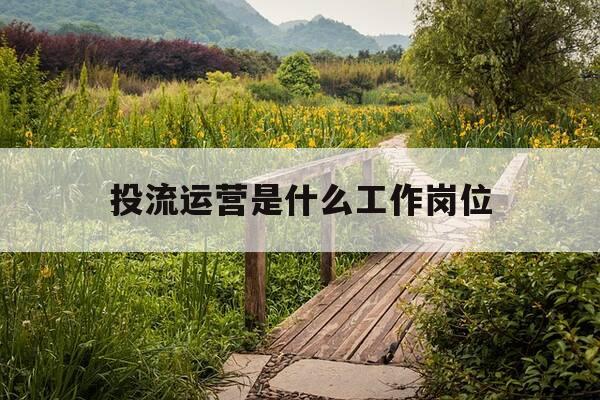 投流运营是什么工作岗位-投流运营是什么工作岗位类别-第1张图片-优惠活动网