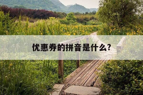 优惠券的拼音是什么?-优惠券 券读音-第1张图片-优惠活动网