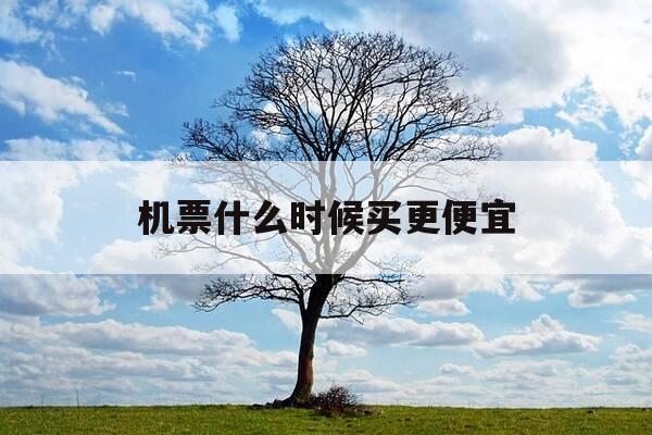 机票什么时候买更便宜-机票一般什么时候买便宜-第1张图片-优惠活动网