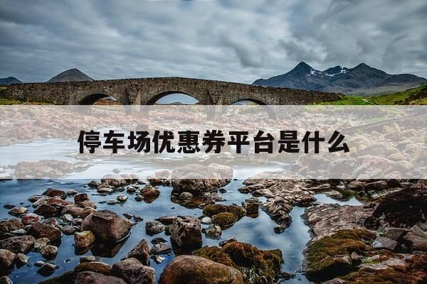 停车场优惠券平台是什么-停车场优惠券发放方案-第1张图片-优惠活动网