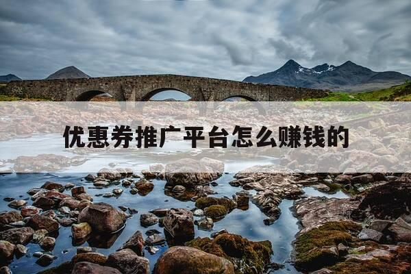 优惠券推广平台怎么赚钱的-优惠券推广平台怎么做-第1张图片-优惠活动网