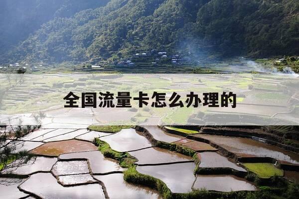 全国流量卡怎么办理的-想办全国流量卡-第1张图片-优惠活动网