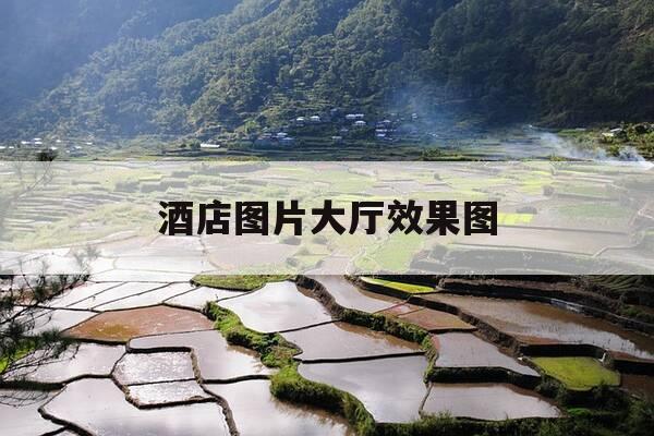 酒店图片大厅效果图-酒店图片大全真实-第1张图片-优惠活动网