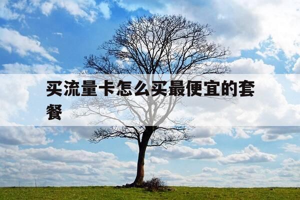 买流量卡怎么买最便宜的套餐-怎么买流量卡不被坑-第1张图片-优惠活动网 买流量卡怎么买最便宜的套餐-怎么买流量卡不被坑-第1张图片-优惠活动网