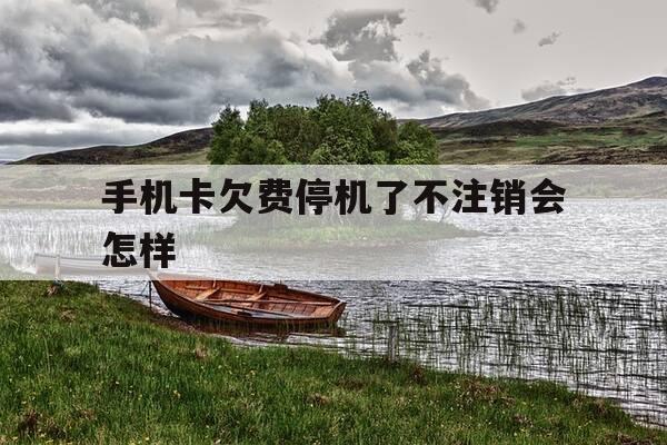 手机卡欠费停机了不注销会怎样-手机卡欠费扔了没事吧-第1张图片-优惠活动网 手机卡欠费停机了不注销会怎样-手机卡欠费扔了没事吧-第1张图片-优惠活动网