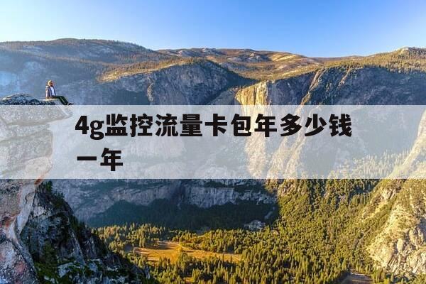 4g监控流量卡包年多少钱一年-监控4g流量卡还用交费吗-第1张图片-优惠活动网