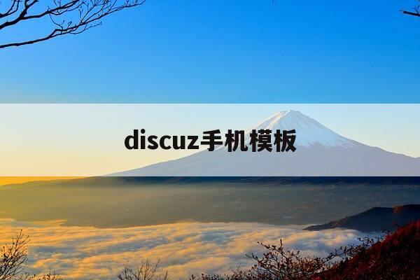 discuz手机模板-discuz手机模板调用-第1张图片-优惠活动网