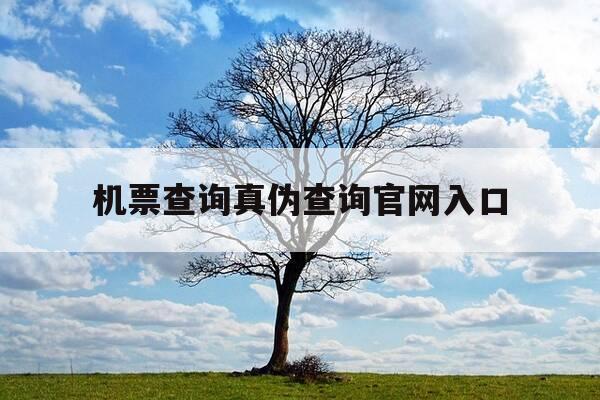机票查询真伪查询官网入口-机票查询网站-第1张图片-优惠活动网
